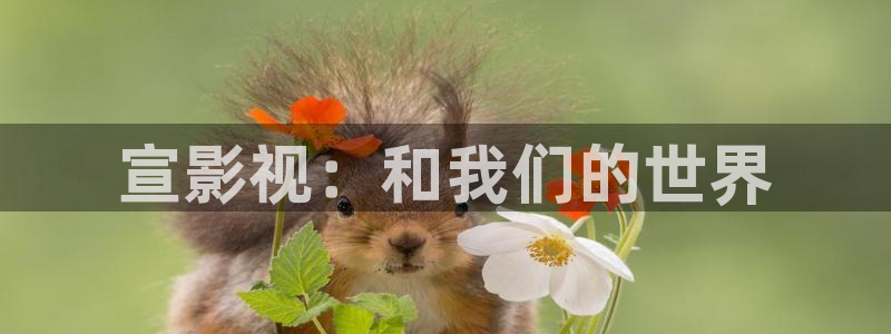 51视频大全：宣影视：和我们的世界
