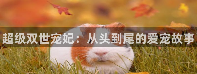 51视频地址：超级双世宠妃：从头到尾的爱宠故事