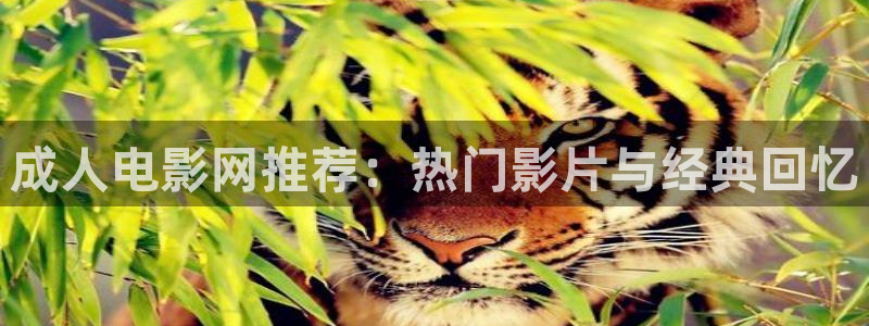 新51视频