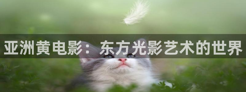 51视频免费在线观看：亚洲黄电影：东方光影艺术的世界