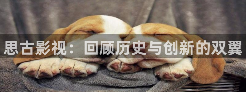 51视频精品免费