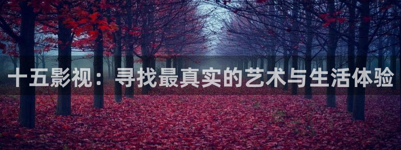 51视频观看免费观看