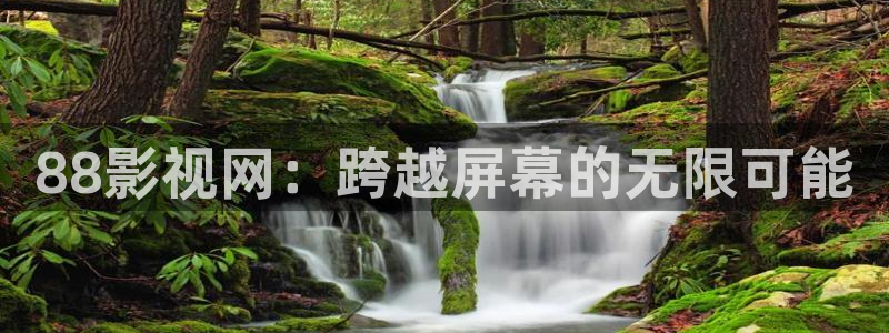 51视频啪啪啪