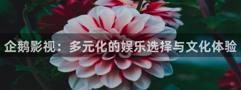 免费51视频：企鹅影视：多元化的娱乐选择与文化体验