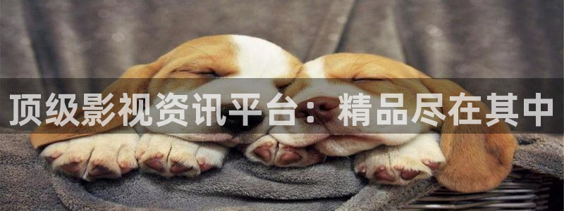 51视频免费：顶级影视资讯平台：精品尽在其中