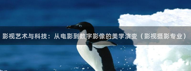 51视频网下载
