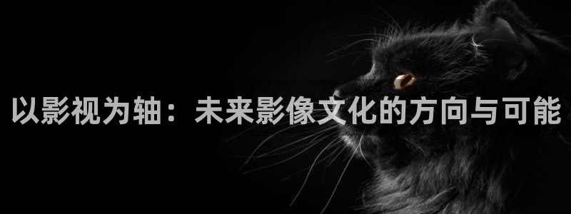 51视频平台下载安装：以影视为轴：未来影像文化的方向与可能
