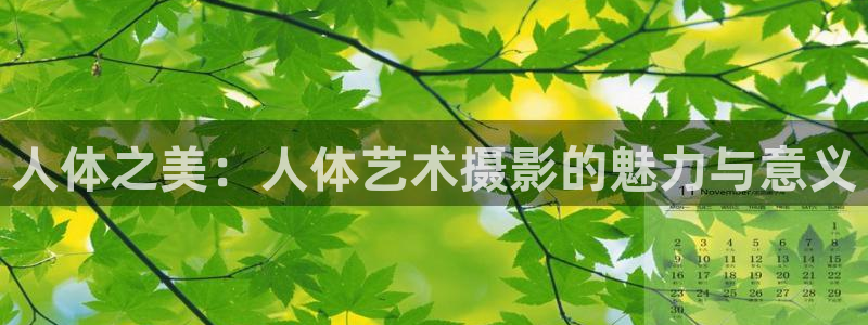 51视频免费观看视频
